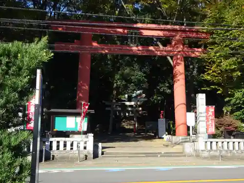 世田谷八幡宮の鳥居