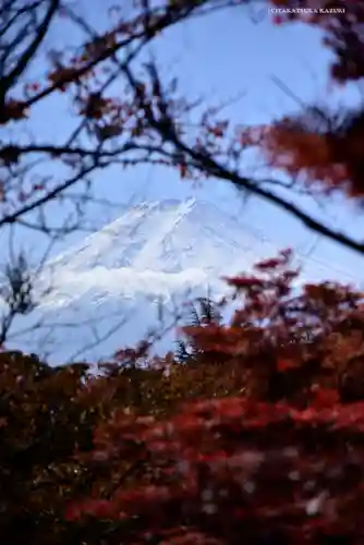 新倉富士浅間神社の景色