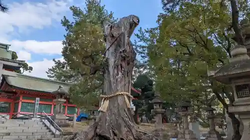 住吉大社の自然