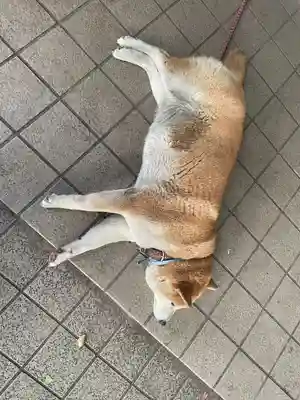 笠䅣稲荷神社(神奈川県)