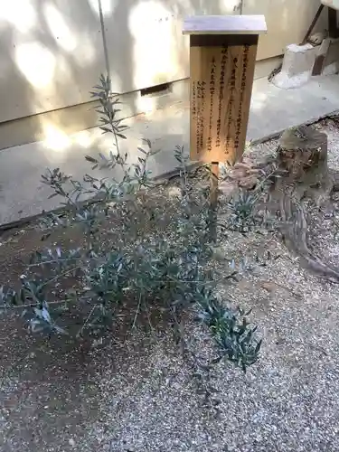 玉鉾神社の自然