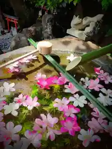 東京羽田 穴守稲荷神社の手水舎(2022年05月22日(日) 10時39分52秒投稿)