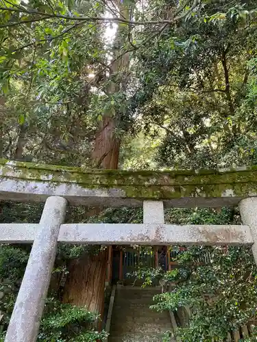 金刀比羅宮の鳥居