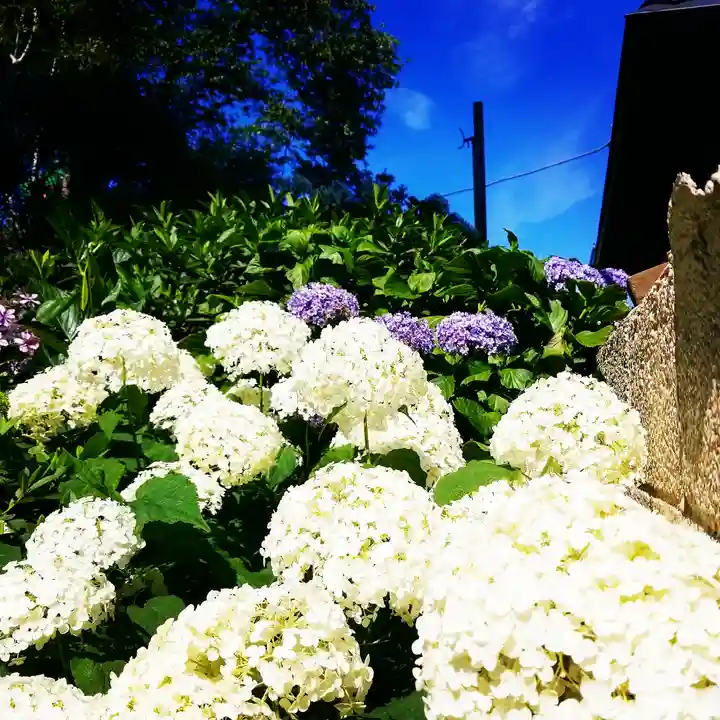 白山神社の庭園
