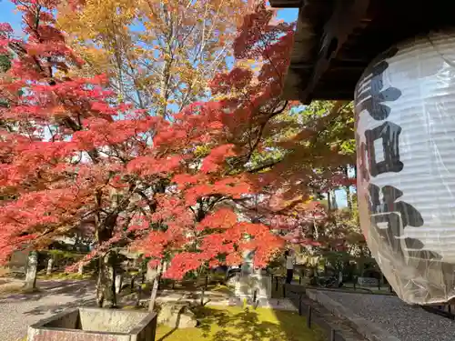 真正極楽寺（真如堂）の自然