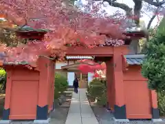 豪徳寺(東京都)