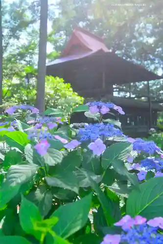 指扇氷川神社(埼玉県)