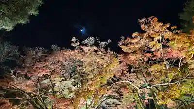 宝厳院(京都府)