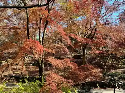 北野天満宮(京都府)