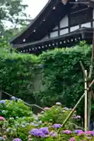 本土寺の自然