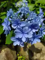 草薙神社の自然