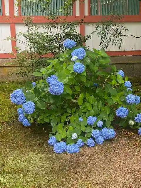 出石神社(兵庫県)