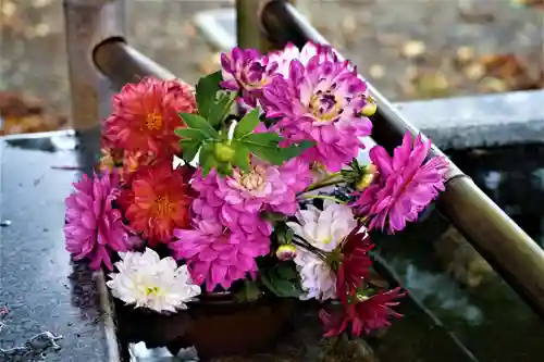 高司神社〜むすびの神の鎮まる社〜の手水舎