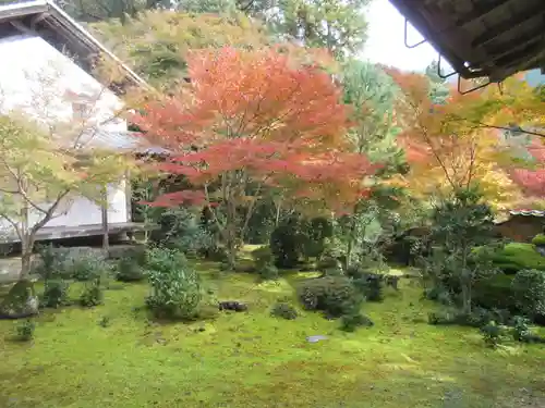 西明寺の庭園