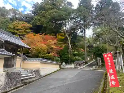 縁城寺(京都府)