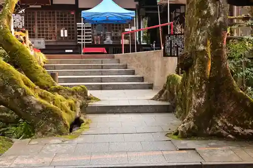 龍蔵寺(山口県)