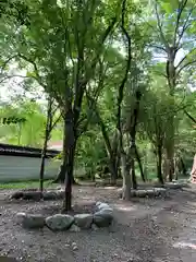 賀茂御祖神社（下鴨神社）の自然