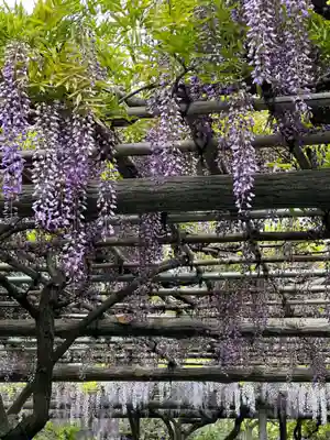 亀戸天神社(東京都)