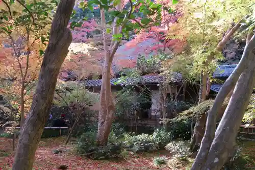 祇王寺の本殿・本堂