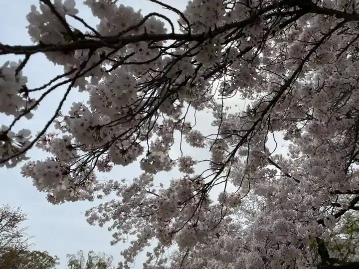 醍醐寺(京都府)