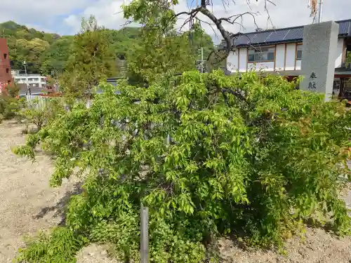 今津天満宮(山口県)