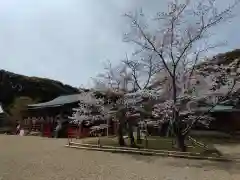 龍田大社(奈良県)