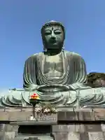 高徳院の{uncategorized: "未分類", other: "その他", undefined: "問題あり", building: "その他建物", grave: "お墓", sacred_gate: "鳥居", guardian: "狛犬", statue: "像", buddha: "仏像", history: "歴史", nature: "自然", garden: "庭園", animal: "動物", pagoda: "塔", temizu: "手水舎", mountain_gate: "山門・神門", sanctuary: "本殿・本堂", subordinate: "末社・摂社", art: "芸術", scenery: "景色", jizo: "地蔵", ema: "絵馬", goshuin: "御朱印", omikuji: "おみくじ", items: "授与品その他", amulet: "お守り", goshuincho: "御朱印帳", eats: "食事", festival: "お祭り", votive_dance: "神楽", shichigosan: "七五三参", wedding: "結婚式", experience: "体験その他", initially: "初詣", around: "周辺", anti_infection: "感染症対策"}