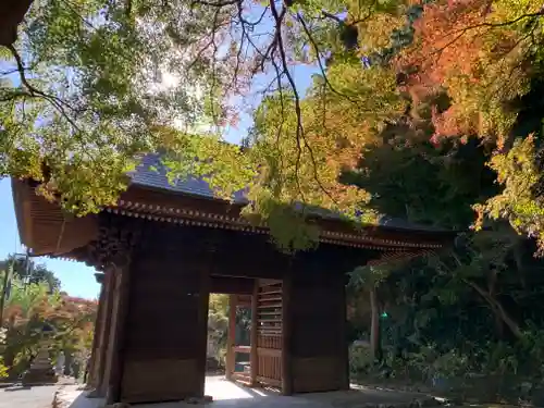 普門寺(切り絵御朱印発祥の寺)の山門