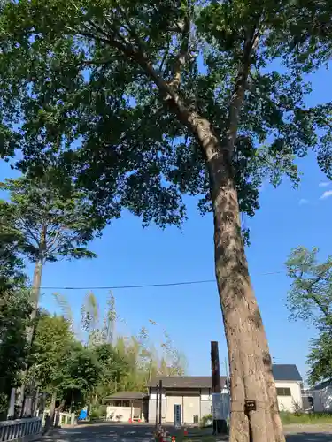 深見神社の建物その他