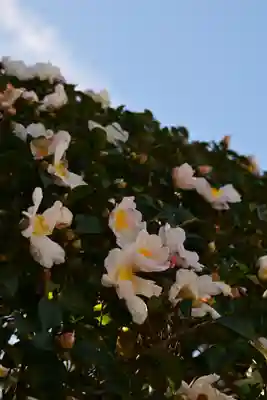 歓喜院(兵庫県)