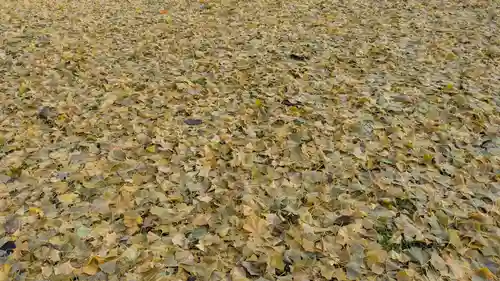 旭川別院(北海道)