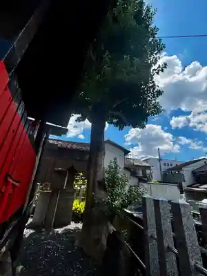 合槌稲荷大明神(京都府)