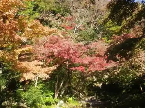 鶴岡八幡宮の自然