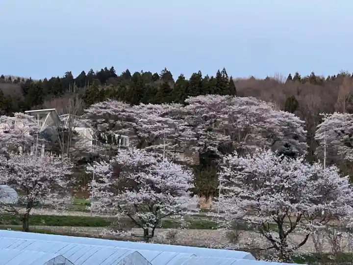 大宮温泉神社の自然