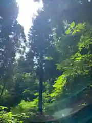 御岩神社の自然