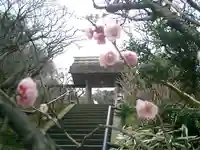 東慶寺の自然