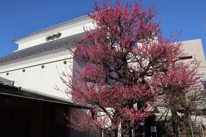 光源寺のその他建物