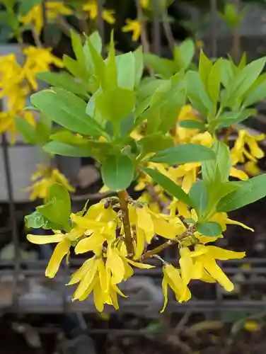 寳幢院(東京都)