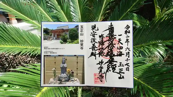 妙覚寺の御朱印