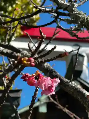 鎌倉宮(神奈川県)