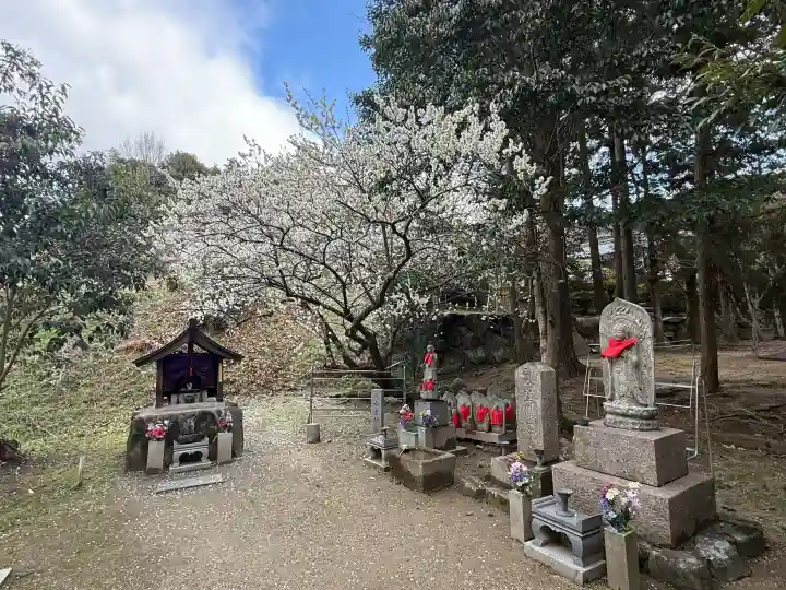 長弓寺の{uncategorized: "未分類", other: "その他", undefined: "問題あり", building: "その他建物", grave: "お墓", sacred_gate: "鳥居", guardian: "狛犬", statue: "像", buddha: "仏像", history: "歴史", nature: "自然", garden: "庭園", animal: "動物", pagoda: "塔", temizu: "手水舎", mountain_gate: "山門・神門", sanctuary: "本殿・本堂", subordinate: "末社・摂社", art: "芸術", scenery: "景色", jizo: "地蔵", ema: "絵馬", goshuin: "御朱印", omikuji: "おみくじ", items: "授与品その他", amulet: "お守り", goshuincho: "御朱印帳", eats: "食事", festival: "お祭り", votive_dance: "神楽", shichigosan: "七五三参", wedding: "結婚式", experience: "体験その他", initially: "初詣", around: "周辺", anti_infection: "感染症対策"}