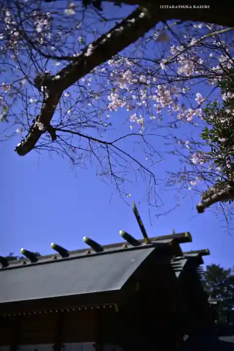 櫻木神社のその他建物
