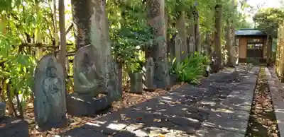 西藏院(東京都)