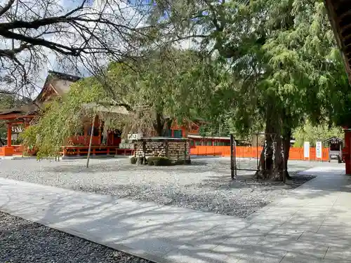 富士山本宮浅間大社(静岡県)