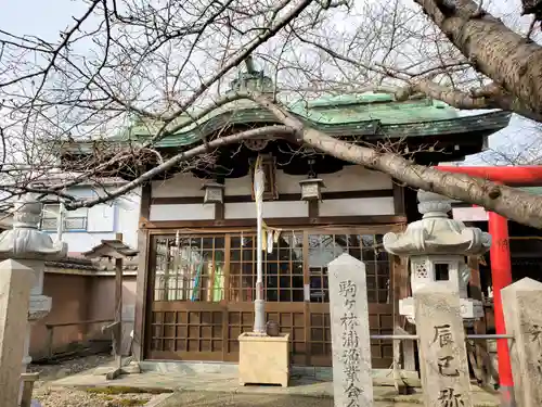 駒ケ林蛭子神社の本殿・本堂