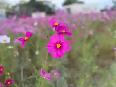 夜夫多神社(三重県)