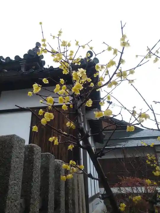 阿智神社の自然