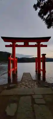 箱根神社の鳥居