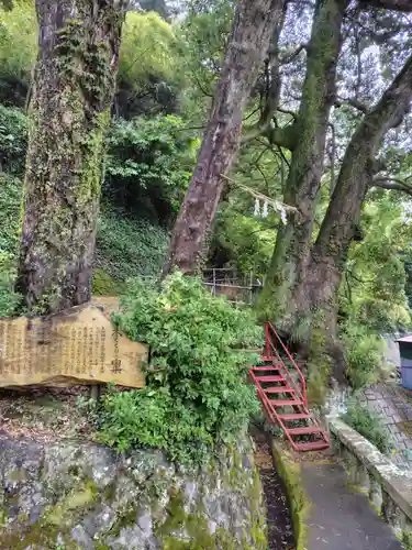 土肥神社(静岡県)