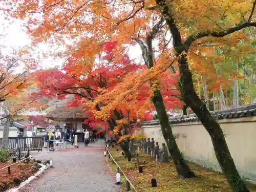 宝厳院(京都府)